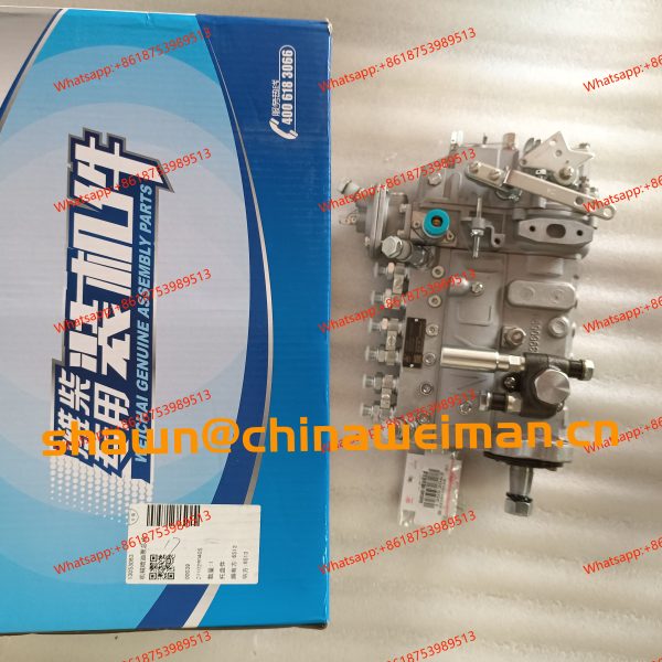 13053063 weichai fuel pump