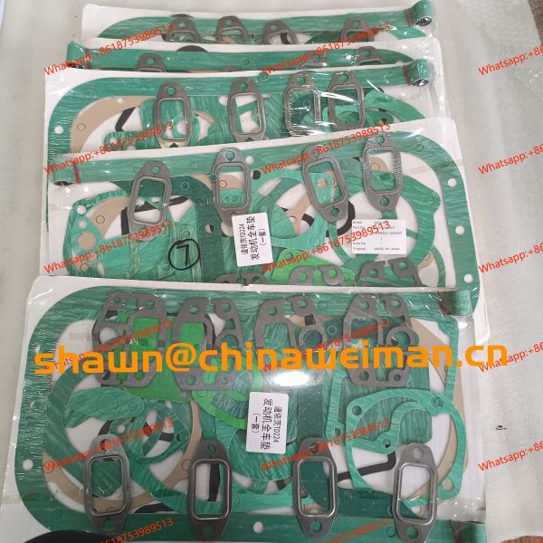 TD224 ENGINE GASKET