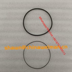 wp4 CYLINDER Seal ring01153804 01153805