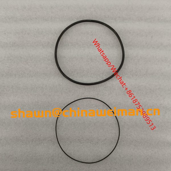 wp4 CYLINDER Seal ring01153804 01153805