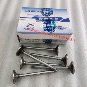 Deutz BF6M1015 BF4M2012 Engine intake valve exhaust valve 04255254 04255255