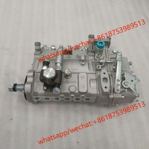 Weichai fuel injection pump 13053063 B6AD548G-R