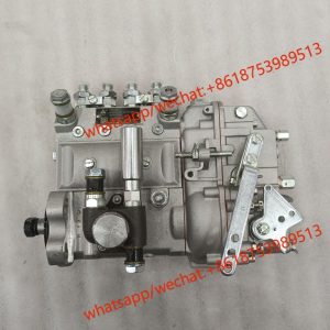 Weichai fuel injection pump 13053065 B4AD545G-R BH4PN120R