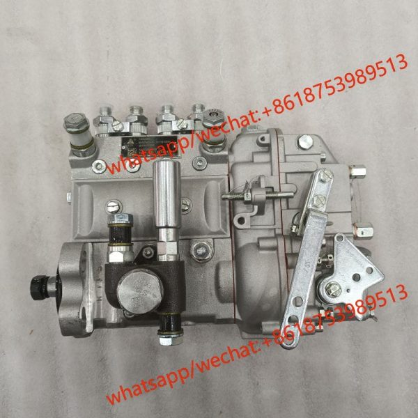 Weichai fuel injection pump 13053065 B4AD545G-R BH4PN120R