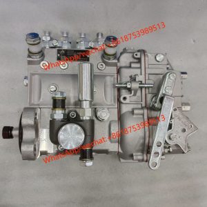 13053065 B4AD545G-R BH4PN120R Fuel Injection Pump For Weichai Engine Weiman