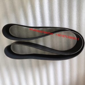 Cummins Engine k38 Belt 3003341