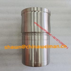 Cummins Engine Cylinder 3086760