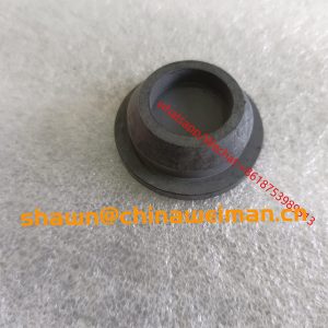 Cummins Engine GEAR COVER PLUG 3688114
