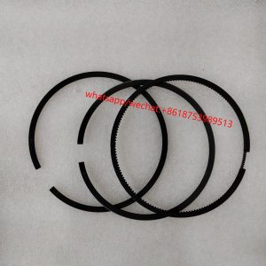 Cummins Engine Part Piston Ring Set 3802050 3802230