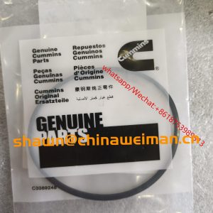 Cummins Engine RECTANGULAR RING SEAL 3820945