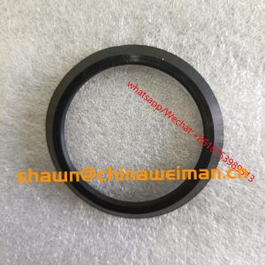 Cummins Engine Dust seal 3896837