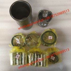 Cummins 6CTA8.3 6CT8.3 QSC8.3 PISTON KIT CYLINDER KIT 3923537