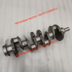 YN27GBZ engine crankshaft assy 4100QB-05-006B HA05275