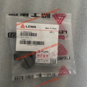 LGMG Genuines Spare part key 4110000395051