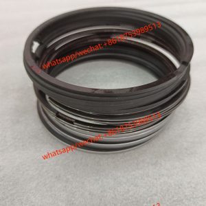 SDLG wheel loader engine WD10 piston Ring 4110000556066