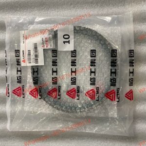 LGMG SEAL RING 4110000819046