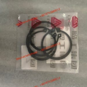 LGMG Genuines Spare part Retainer ring 4110001003015