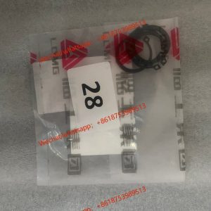 LGMG Genuines Spare part Retainer ring 4110001003031