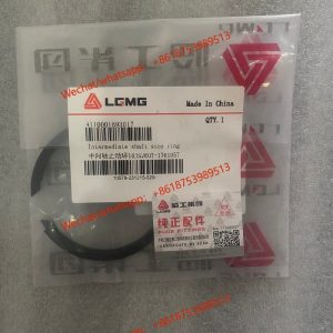 LGMG Genuines Spare part Ring 4110001693017 16JS260T-1701057
