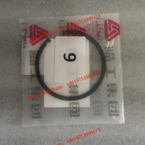 LGMG Genuines Spare part Ring 4110702209003 8DS240A-1701028