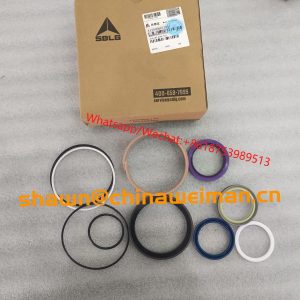 SDLG original parts L956F Cylinder kit 4120006612011