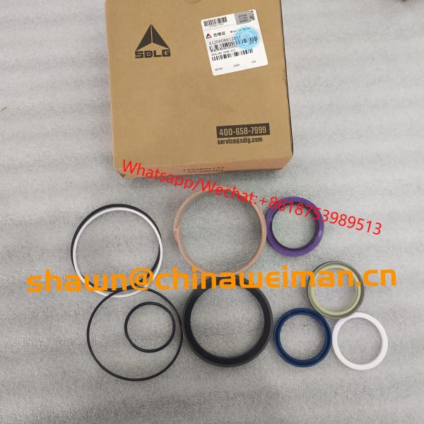SDLG original parts L956F Cylinder kit 4120006612011