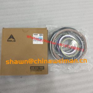 SDLG original parts L956F Cylinder Seal kit 4120007867004