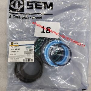 SEM Original Parts seal kit 5370339