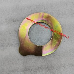 SEM Original Parts Gasket washer 5548135