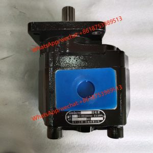 LONKING GEAR PUMP 60301000260 LGCB3112  14 TEETH