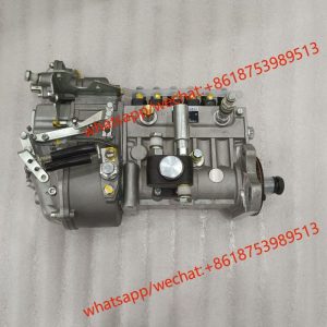 Weichai fuel injection pump 612601080575 BHT6P120R