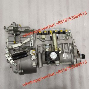 Weichai fuel injection pump  612601080577 BP12R8 BHT6P120R