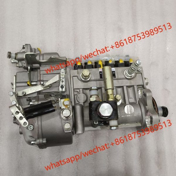 Weichai fuel injection pump  612601080577 BP12R8 BHT6P120R