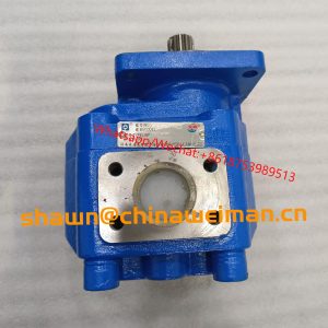 XCMG LW600FN LW600K Hydraulic Gear pump 803004137