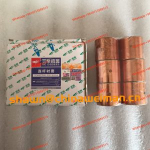 Connecting rod bushing A3000-1004202 for YC6J125Z