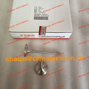 SCA19AL602 SCA19AL603B INTAKE EXHAUST VALVE FOR SDEC ENGINE