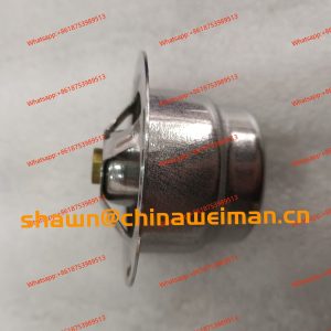 C22AL-1118010 A 4110000186267 thermostat for C6121