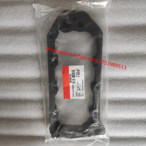 Cummins 6BT Engine oil cooler gasket C3918174