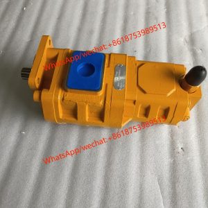 GEAR PUMP CBGJ2080-1010C-XFL