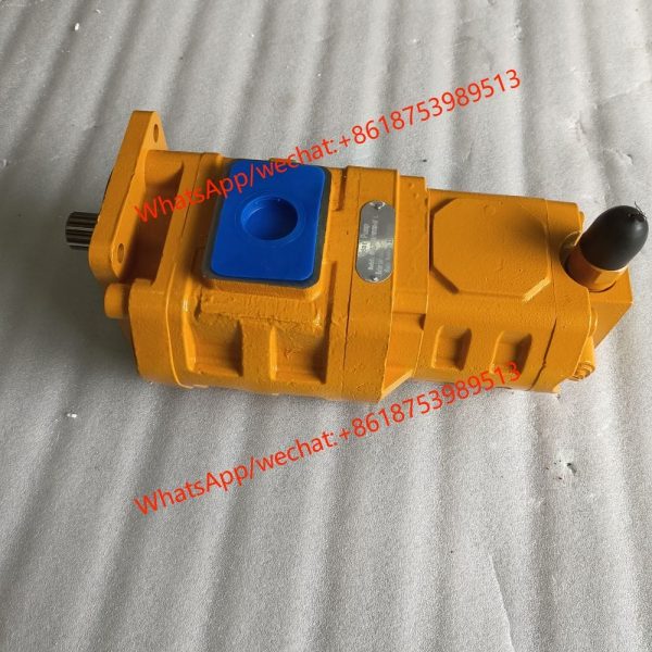 GEAR PUMP CBGJ2080-1010C-XFL
