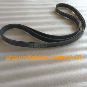 Cummins Engine Belt 4110000081031 C3289648