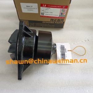 SDLG LG958 6CT ENGIE WATER PUMP 4110000081010 (3966841)
