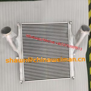 XCMG Dumping truck parts NXG1301KFS831-00100