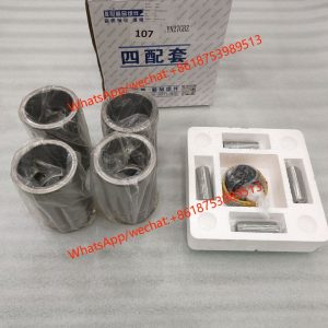 YN27GBZ Engine cylinder kit SPT001