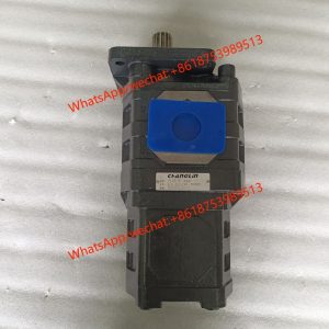 CHANGLIN GEAR PUMP W-01-00034 CBGJ2045-1025
