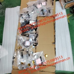 sdlg parts Engine overhual kit 4110001017063